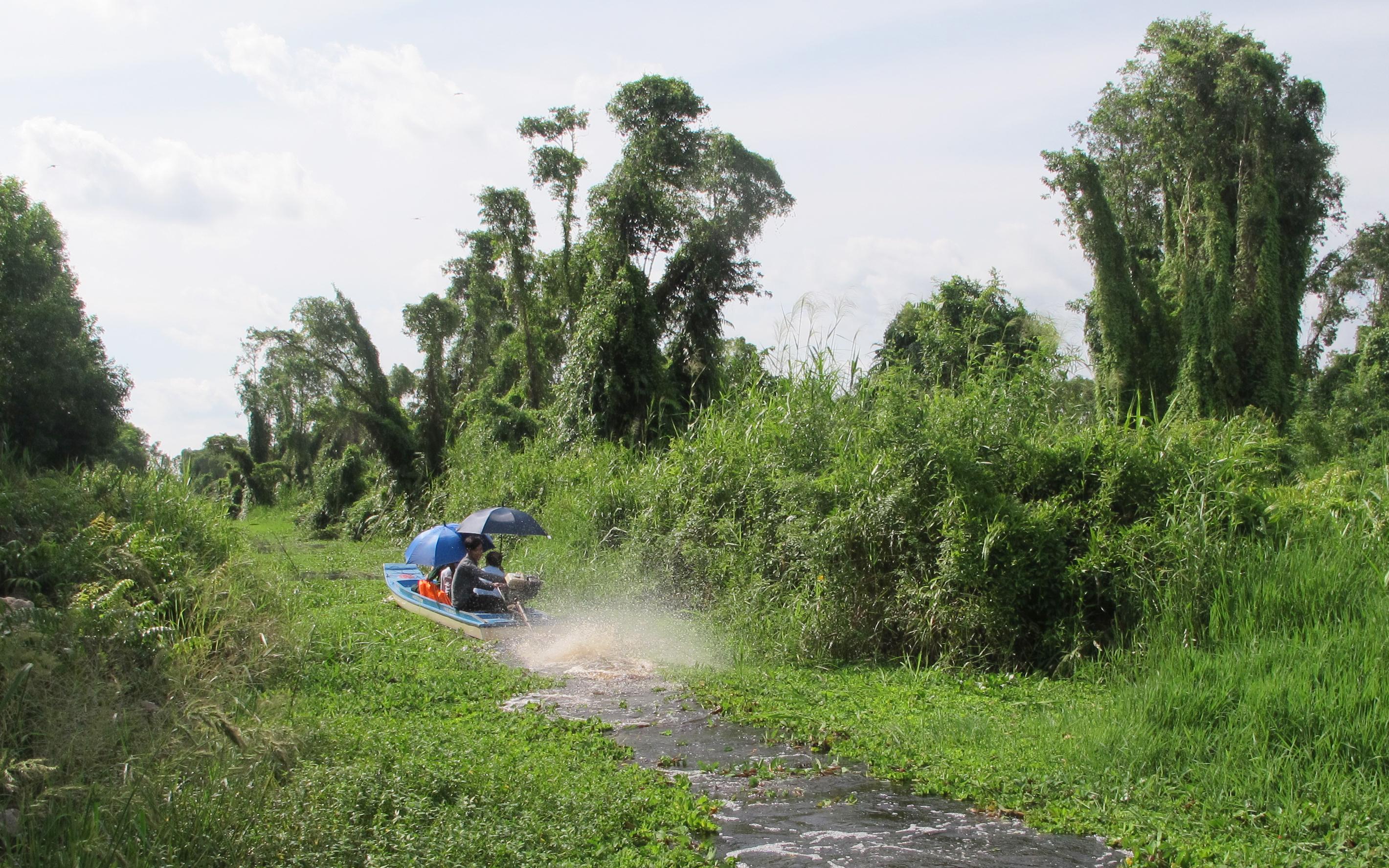 Kỳ thú Mùa Xuân